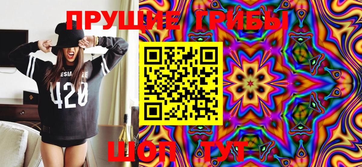 цена наркотик  Вход с VPN  Сунжа  Галлюциногенные грибы Psilocybe 