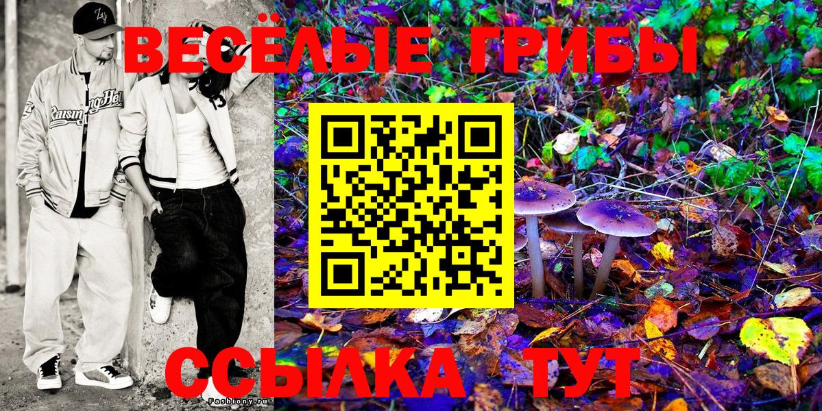 Галлюциногенные грибы мицелий Сунжа